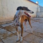 462509094_8430273210393404_6528323897475681748_n