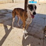 462533939_8430274783726580_8860544653016493155_n