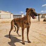 489960413_9488044957949552_1848584016015617253_n